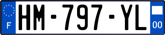 HM-797-YL