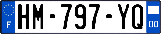 HM-797-YQ
