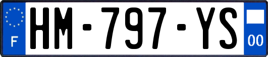 HM-797-YS