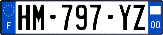 HM-797-YZ
