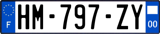 HM-797-ZY