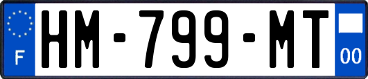 HM-799-MT