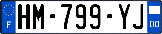 HM-799-YJ