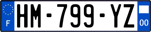 HM-799-YZ