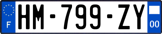 HM-799-ZY