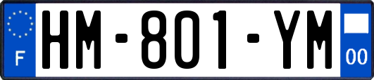 HM-801-YM