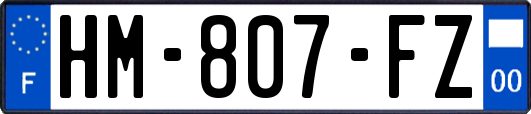 HM-807-FZ