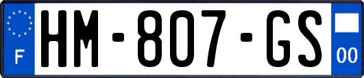 HM-807-GS