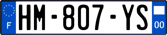 HM-807-YS