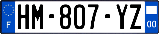 HM-807-YZ