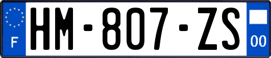 HM-807-ZS