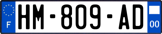 HM-809-AD