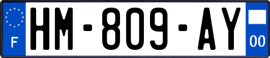 HM-809-AY
