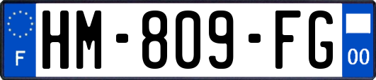 HM-809-FG