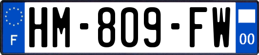 HM-809-FW