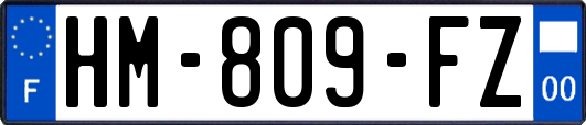HM-809-FZ