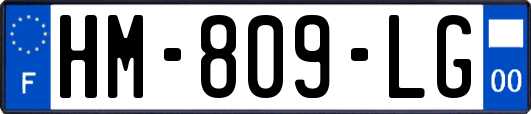 HM-809-LG