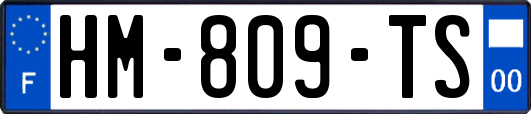 HM-809-TS