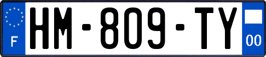 HM-809-TY