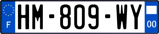 HM-809-WY