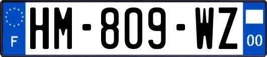 HM-809-WZ