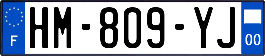 HM-809-YJ