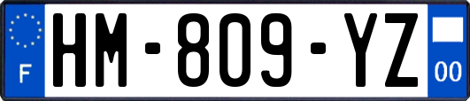 HM-809-YZ