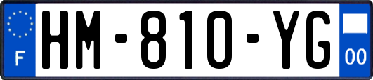 HM-810-YG