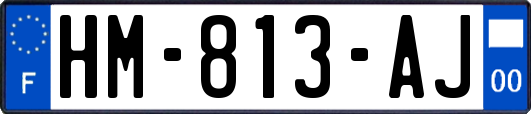 HM-813-AJ