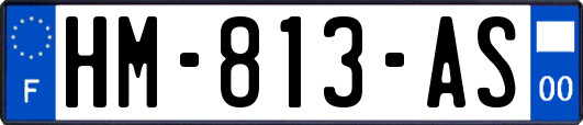 HM-813-AS
