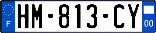 HM-813-CY