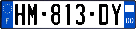 HM-813-DY