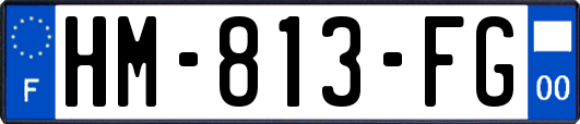 HM-813-FG