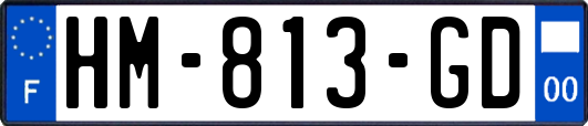 HM-813-GD