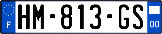HM-813-GS