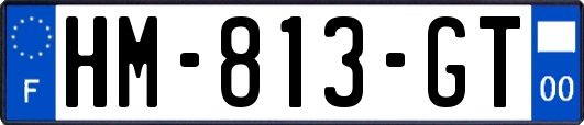 HM-813-GT