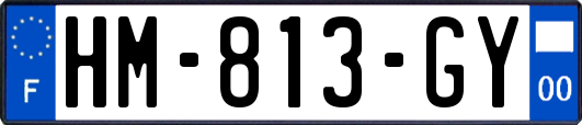 HM-813-GY
