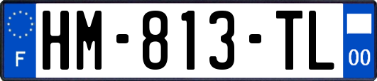 HM-813-TL