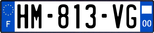 HM-813-VG