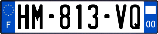 HM-813-VQ