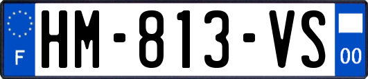 HM-813-VS