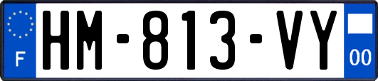 HM-813-VY