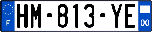 HM-813-YE