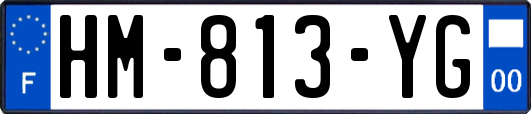 HM-813-YG