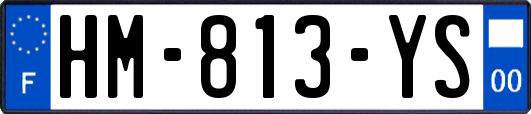HM-813-YS