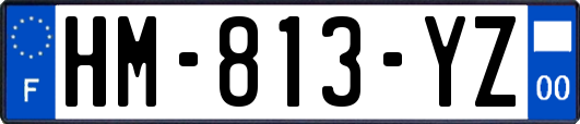 HM-813-YZ