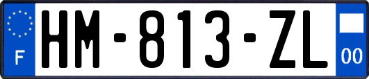 HM-813-ZL