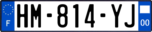 HM-814-YJ