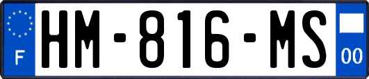 HM-816-MS
