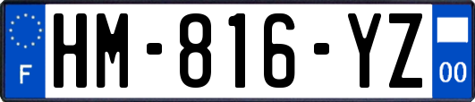 HM-816-YZ